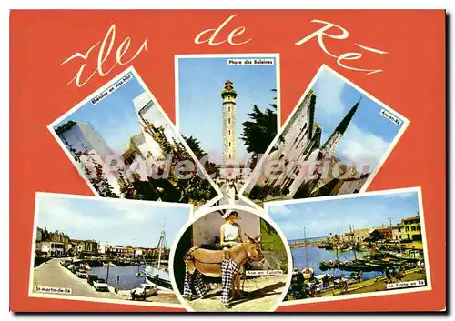 Cartes postales moderne I'Ile De Re