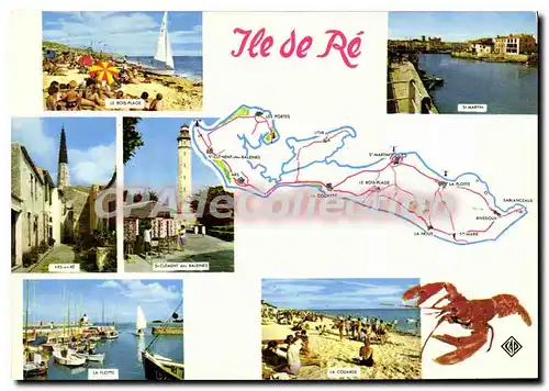 Cartes postales moderne I'Ile De Re