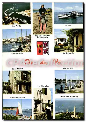 Cartes postales moderne I'Ile De Re C'Est Une Terre Plate Et Basse