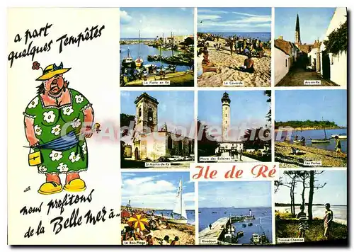 Cartes postales moderne I'Ile De Re