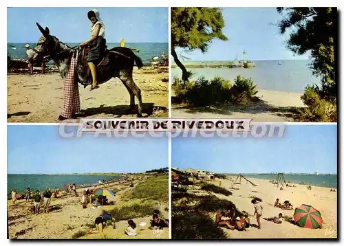 Cartes postales moderne Rivedoux L'Ane En Culotte