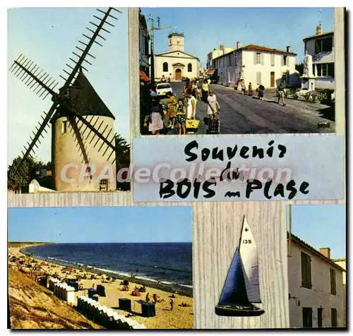 Cartes postales moderne Ile De Re Le Bois Plage Le Moulin De Morinand