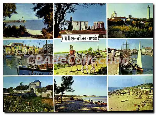 Cartes postales moderne Ile De Re flotte port �ne en culotte plage baleine �glise