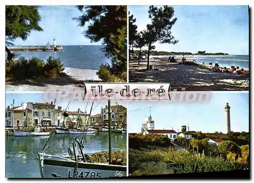 Cartes postales moderne Ile De Re La Flotte