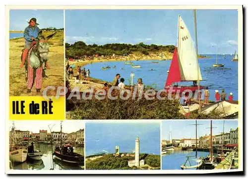 Cartes postales moderne Ile De Re Ane En Culottes La Plage De Trousse Chemise