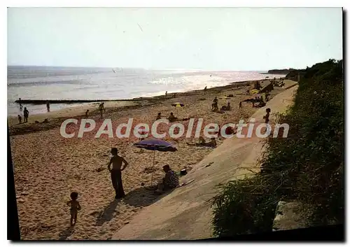 Cartes postales moderne Ile De Re Contre Jour Sur La Plage De La Noue