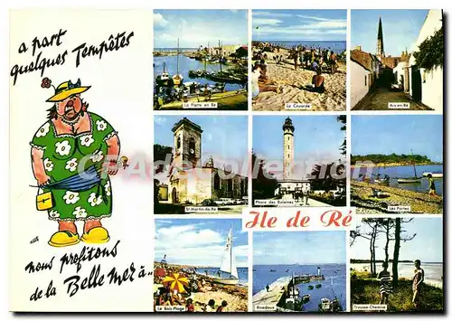 Cartes postales moderne Ile De Re