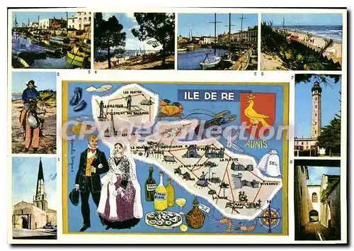 Cartes postales moderne Ile De Re Ars En Re