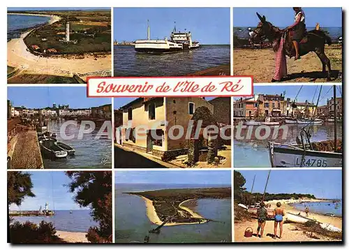 Cartes postales moderne Ile De Re Le Phare Des Baleines Le Bac