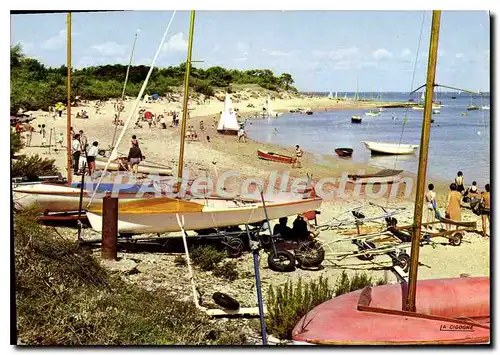 Cartes postales moderne Ile De Re Plage Trousse Chemise