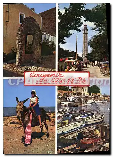 Cartes postales moderne Ile De Re Souvenir