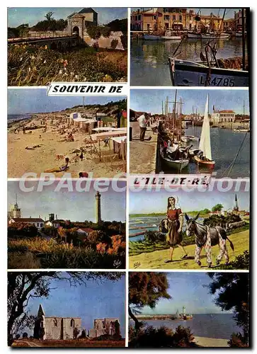 Cartes postales moderne Ile De Re