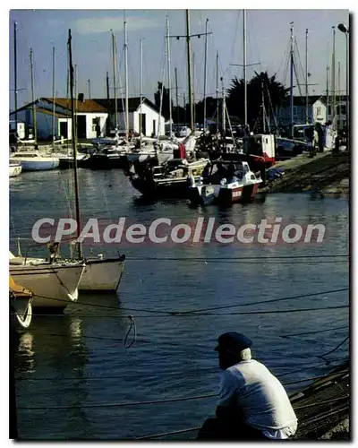 Cartes postales moderne Ile De Re Ars En Re Grand Centre De Voile Le Port