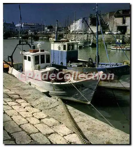 Cartes postales moderne Ile De Re Saint Martin De Re Le Port