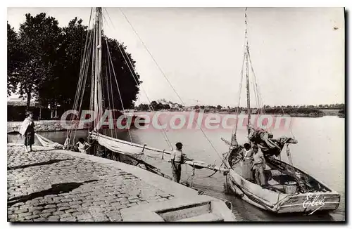 Cartes postales Rochefort Sur Mer Les bords De La Charente