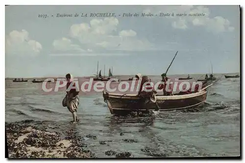 Cartes postales La Rochelle Peche Des Moules Etude