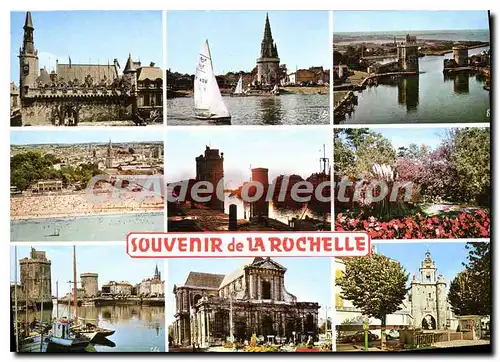 Cartes postales moderne La Rochelle port parc plage du mail hotel de ville