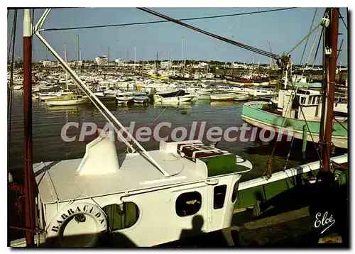 Cartes postales moderne Royan Pontaillac Le Nouveau Port De Plaisance