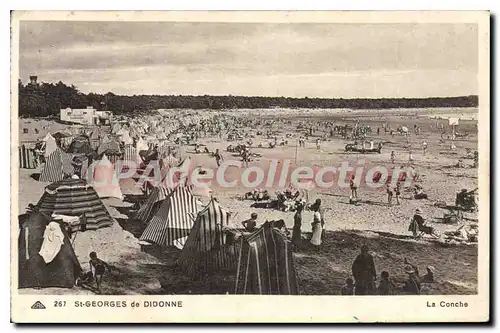 Cartes postales St Georges De Didonne La Conche