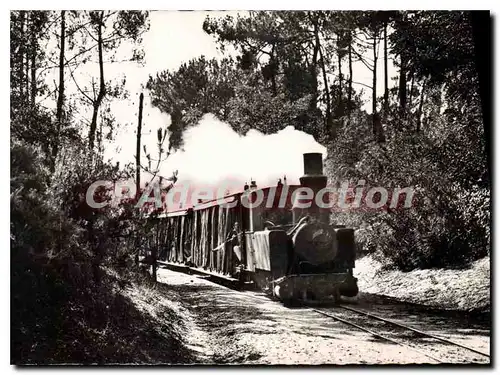 Ansichtskarte AK St Palais Sur Mer Le Train En Foret