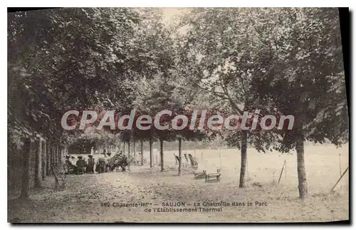 Ansichtskarte AK Saujon La Charmille Dans Le Parc �tablissement thermal