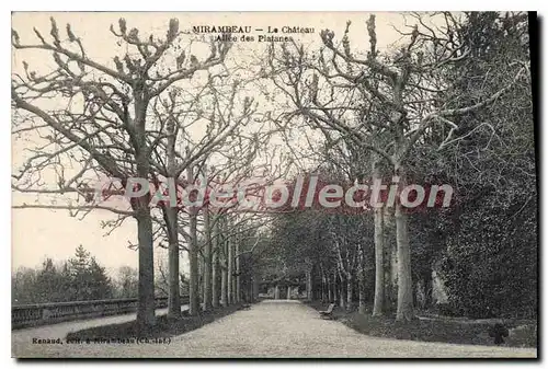 Cartes postales Mirambeau Le Chateau Alles Des Platanes