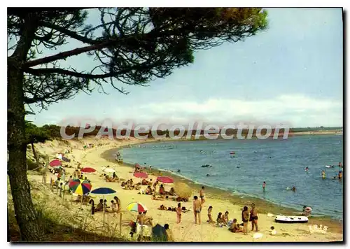 Cartes postales moderne La Palmyre La Plage De bonne Anse