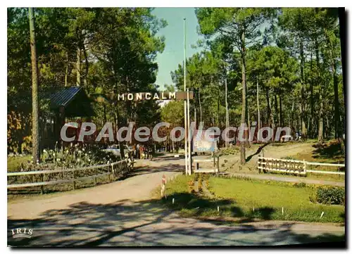 Cartes postales moderne La Palmyre Village Moncalm