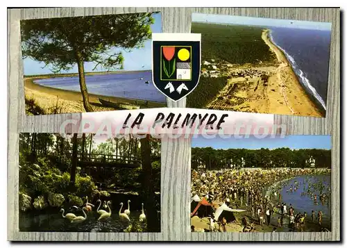 Cartes postales moderne La Palmyre