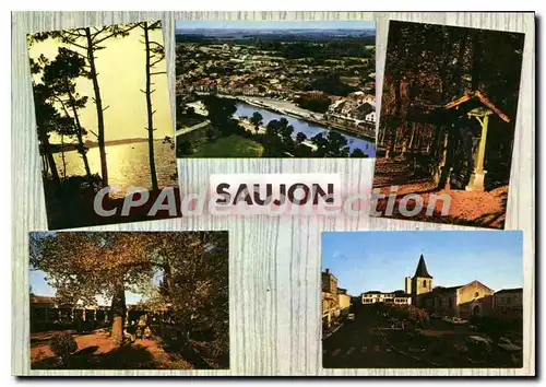 Cartes postales moderne Saujon La Cote Le Port De Riberoux