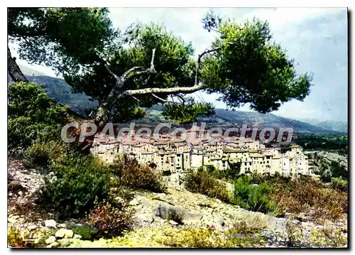 Cartes postales moderne Tourrettes Sur Loup Village Medieval Station Estivale