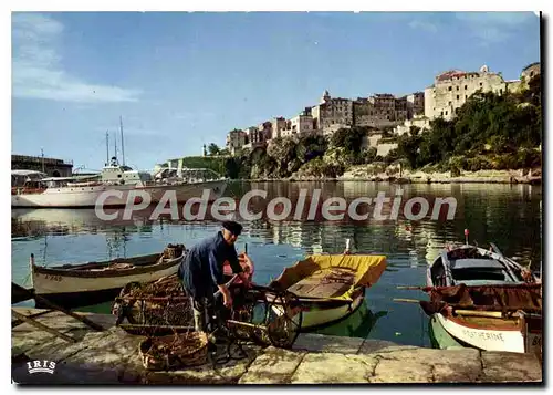 Cartes postales moderne Bastia Le Vieux Port