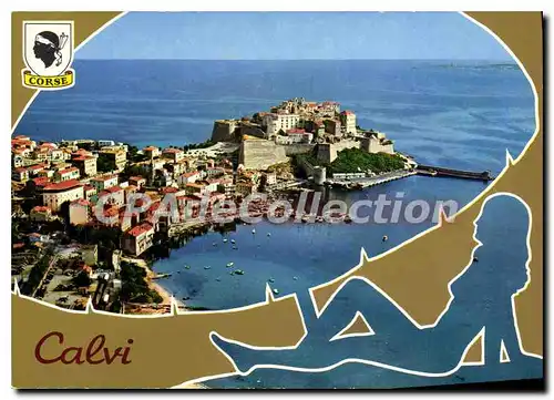 Cartes postales moderne Calvi la ville et la citadelle