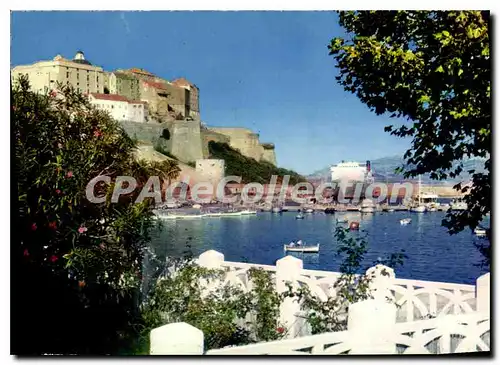 Cartes postales moderne Calvi Le Comt� De Nice Dans Le Port