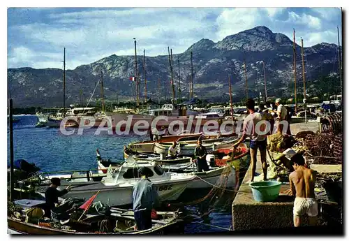 Cartes postales moderne Calvi L'Accostage Des Yachts