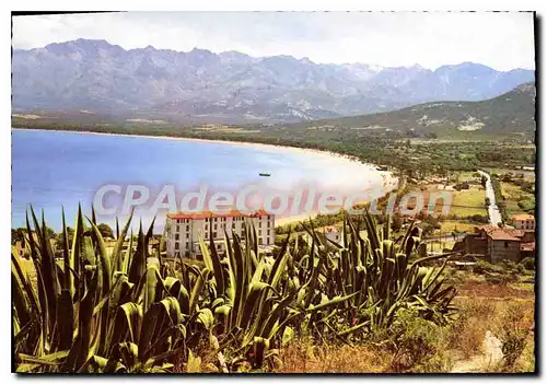 Cartes postales moderne Calvi Vue Generale Sur La Plage