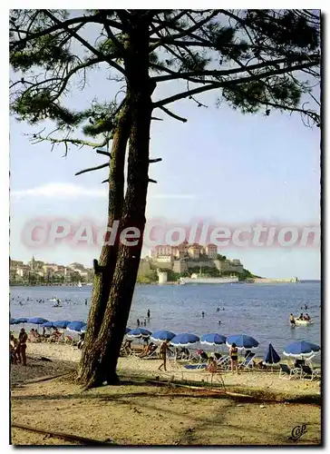 Moderne Karte Calvi La Plage Et La Citadelle