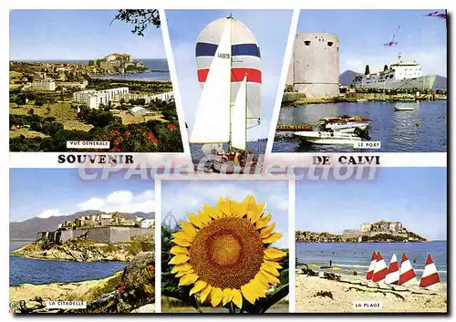 Cartes postales moderne Calvi Ile De Beaute