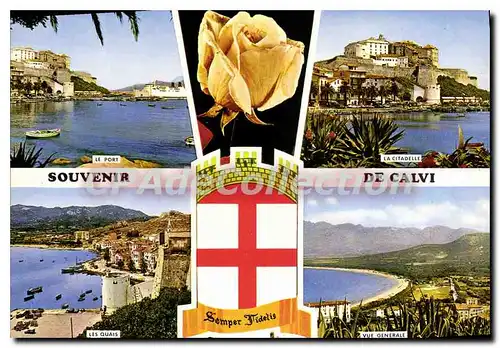 Cartes postales moderne Calvi Ile De Beaute Corse
