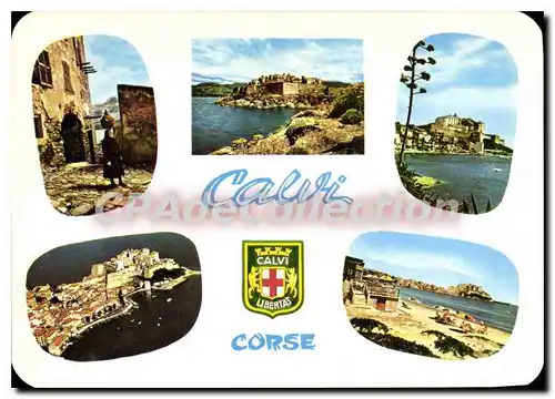 Cartes postales moderne Charmes Et Couleurs De La Corse Calvi