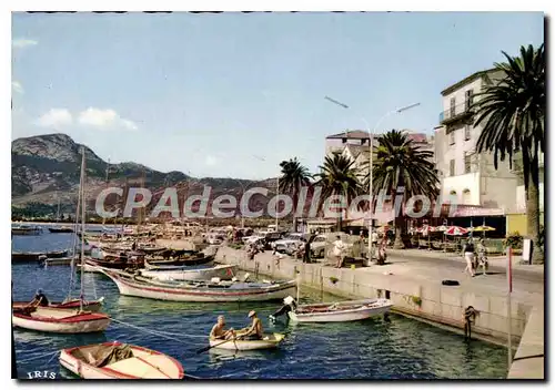 Cartes postales moderne Calvi Les Quais De Promenade Et De Plaisance