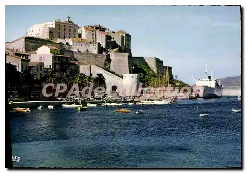 Cartes postales moderne Calvi La Citadelle Et Le Port Napol�on � quai