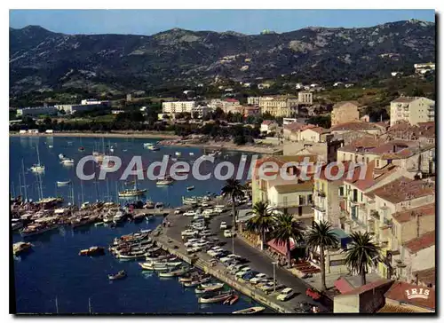 Cartes postales moderne Calvi La Ville Et Le Port De Plaisance