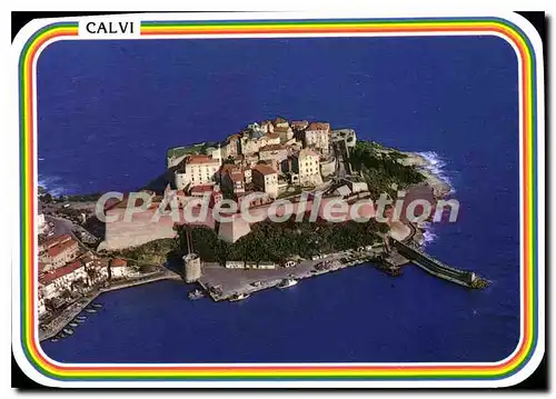 Cartes postales moderne Calvi Vue Panoramique