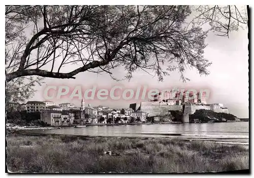 Cartes postales moderne Calvi Vu De La Plage