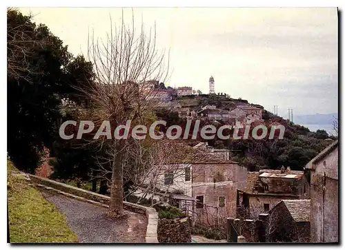 Cartes postales moderne Cap Corse Canari