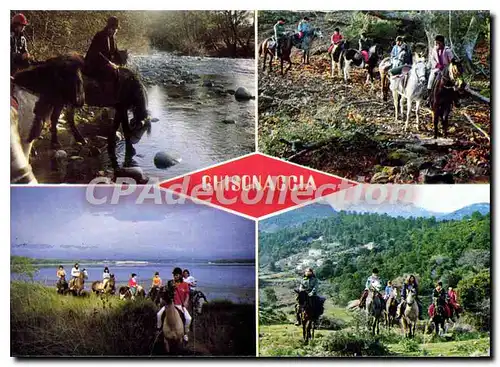 Cartes postales moderne Cavallu Diu Fium Orbu Bruschettu Ghisonaccia