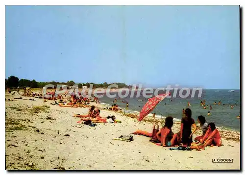 Cartes postales moderne Ghisonnaccia La Plage De Vignale