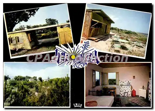 Cartes postales moderne Tropica Par Chiatra Commune De Linguizzetta