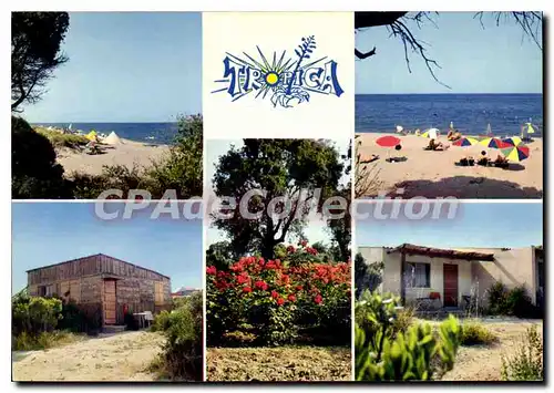 Cartes postales moderne Tropica Par Chiatra Commune De Linguizetta